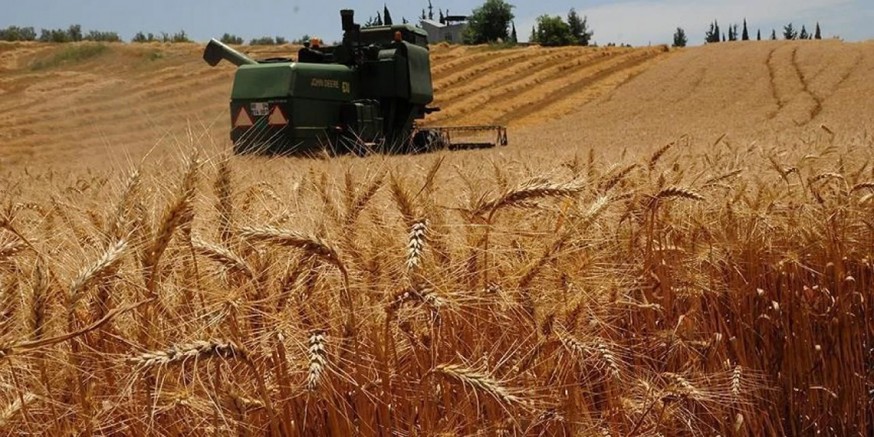 2025 YILI HUBUBAT ALIM FİYATLARI BELLİ OLDU