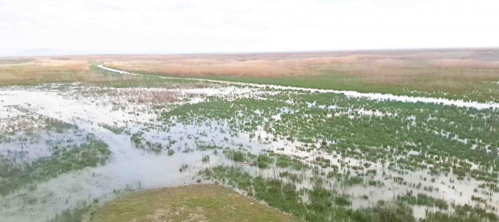 AKŞEHİR GÖLÜ 8 YIL SONRA YENİDEN CANLANIYOR: ÜRETİCİ VE DOĞA İÇİN UMUT OLDU