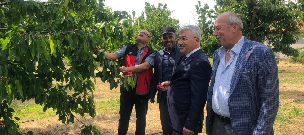 AKŞEHİR KİRAZI İÇİN SAHADA ORTAK MESAİ: ÜRETİCİLER