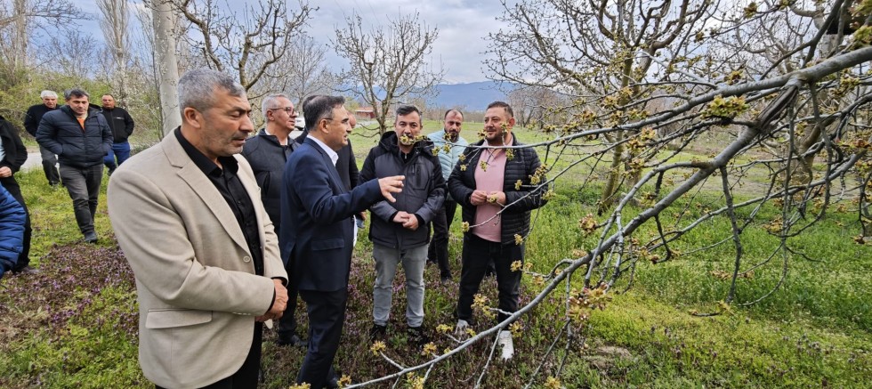 ARSLAN: SULTANDAĞI KİRAZINDA 35 BİN TONLUK REKOR BİR REKOLTE BEKLİYORUZ