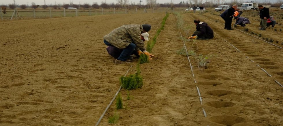 AKŞEHİR BELEDİYESİ’NDEN KIRSALA TARIMSAL DESTEK