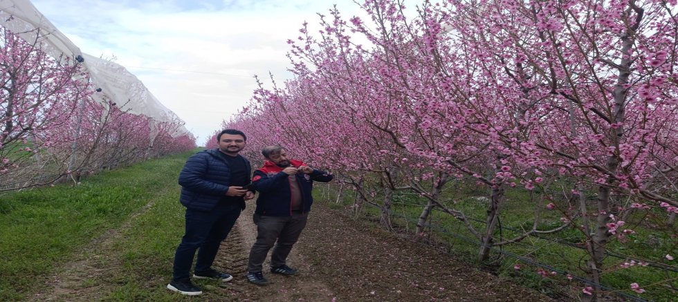 AKŞEHİR’DE ZİRAİ DON NÖBETİ: EKİPLER SAHADA, ÜRETİCİ BİLGİLENDİRİLİYOR