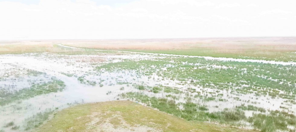 AKŞEHİR GÖLÜ 8 YIL SONRA YENİDEN CANLANIYOR: ÜRETİCİ VE DOĞA İÇİN UMUT OLDU