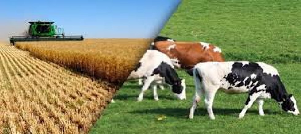 AKŞEHİR HALK EĞİTİM MERKEZİ’NDEN TARIM VE HAYVANCILIK KURSLARI: ÜRETİME BİLİNÇLİ DESTEK