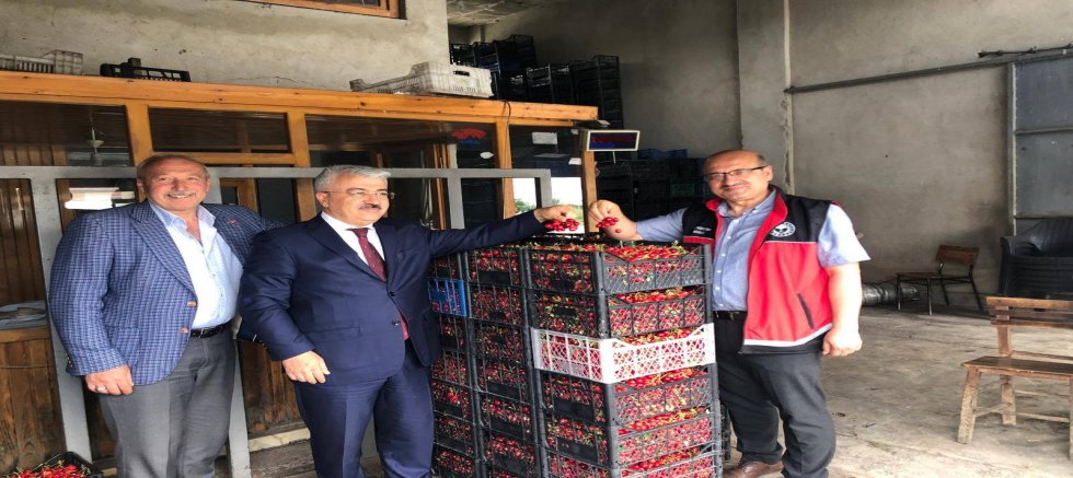 AKŞEHİR KİRAZI İÇİN SAHADA ORTAK MESAİ: ÜRETİCİLERİN SORUNLARI YERİNDE DİNLENDİ