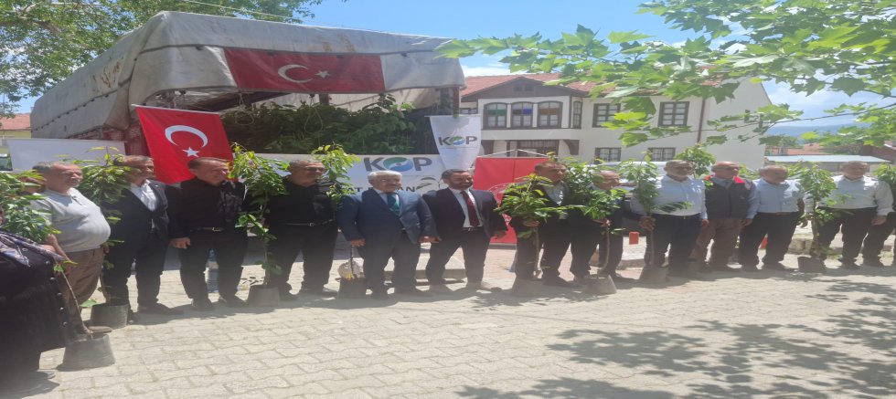 AKŞEHİR KİRAZINA CAN SUYU: BAHÇELER YENİDEN HAYAT BULUYOR