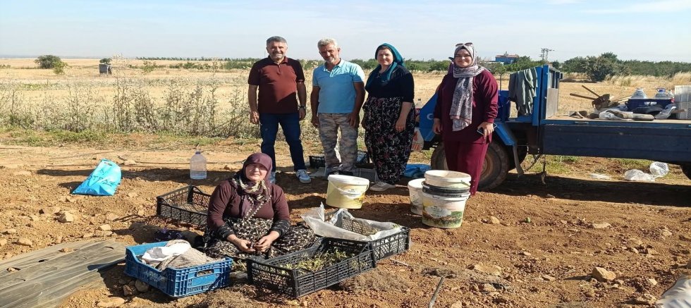 ÇİLEK FİDELERİ TOPRAKLA BULUŞTU