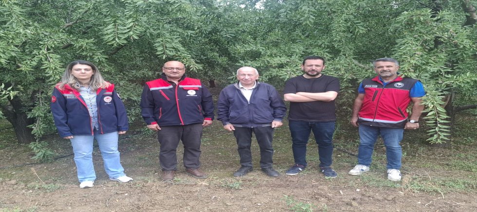 KİRAZA ALTERNATİF ARAYAN AKŞEHİRLİ ÜRETİCİ BADEME GEÇTİ