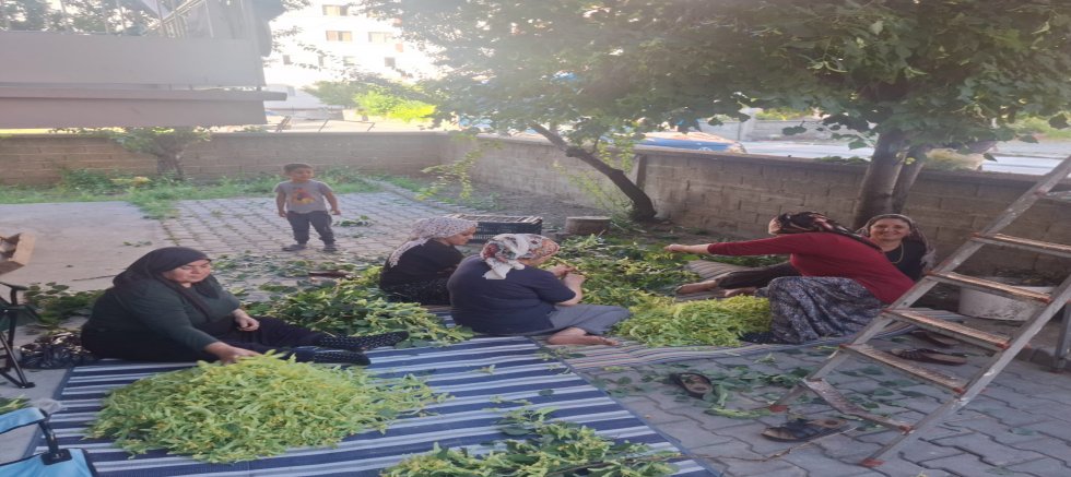KOMŞULUK RUHU IHLAMUR DALLARINDA YEŞERDİ
