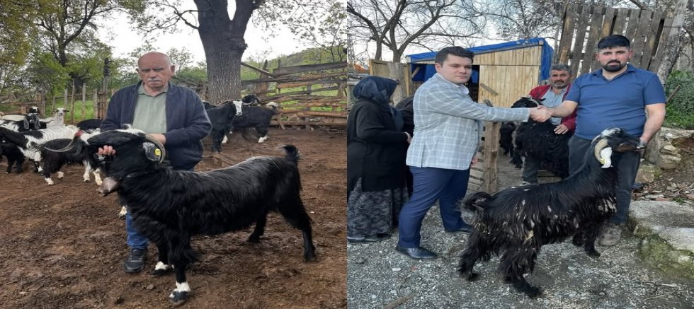 KURBANLIK SATIŞLARI HIZ KAZANDI