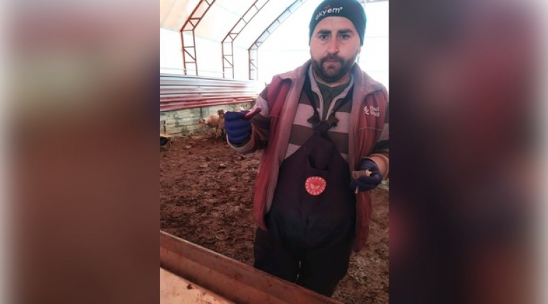 ŞAP HASTALIĞINA YÖNELİK SERO-SURVEY ÇALIŞMALARI TAMAMLANDI