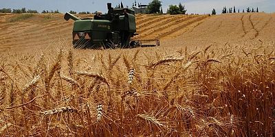 2025 YILI HUBUBAT ALIM FİYATLARI BELLİ OLDU