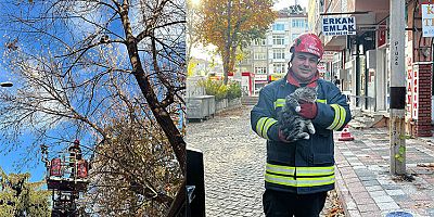 AĞAÇTA MAHSUR KALAN KEDİYİ İTFAİYE EKİPLERİ KURTARDI