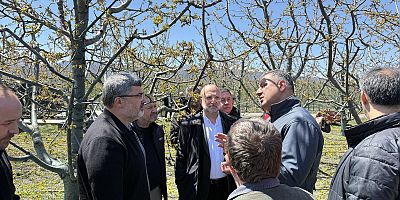 AK PARTİ HEYETİ ZARAR GÖREN BAHÇELERDE İNCELEMEDE BULUNDU 