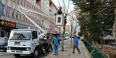 AKŞEHİR BELEDİYESİ MEVSİMSEL BUDAMA ÇALIŞMALARINA BAŞLADI!
