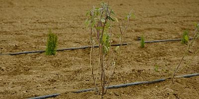 AKŞEHİR BELEDİYESİ’NDEN KIRSALA TARIMSAL DESTEK