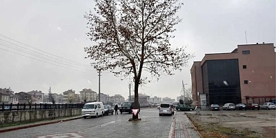 AKŞEHİR’DE AĞAÇ KATLİAMI TEPKİ ÇEKTİ: MEYDAN DÜZENLEMESİ İÇİN KESİLEN AĞAÇLAR VATANDAŞLARI YARALADI