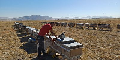 AKŞEHİR’DE ARILI KOVAN SAYIMLARI DEVAM EDİYOR