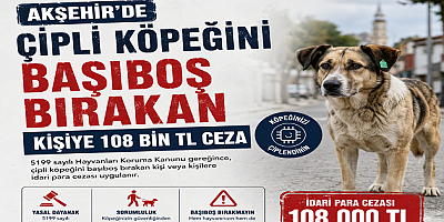 AKŞEHİR’DE ÇİPLİ KÖPEĞİNİ BAŞIBOŞ BIRAKAN KİŞİYE 108 BİN TL CEZA