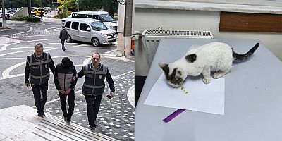 AKŞEHİR’DE KEDİYE ŞİDDET UYGULAYAN ŞAHIS POLİS EKİPLERİNCE YAKALANDI