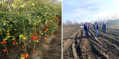 AKŞEHİR’DE “KOP SERANIN MERKEZİ PROJESİ” BAŞLADI