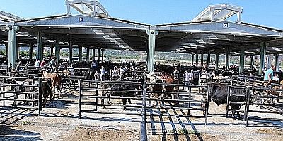 AKŞEHİR'DE KURBAN KESİM YERLERİ BELLİ OLDU