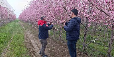 AKŞEHİR’DE ZİRAİ DON NÖBETİ: EKİPLER SAHADA, ÜRETİCİ BİLGİLENDİRİLİYOR