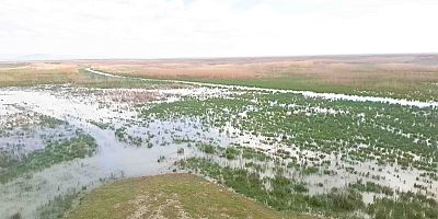 AKŞEHİR GÖLÜ 8 YIL SONRA YENİDEN CANLANIYOR: ÜRETİCİ VE DOĞA İÇİN UMUT OLDU