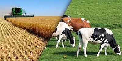 AKŞEHİR HALK EĞİTİM MERKEZİ’NDEN TARIM VE HAYVANCILIK KURSLARI: ÜRETİME BİLİNÇLİ DESTEK