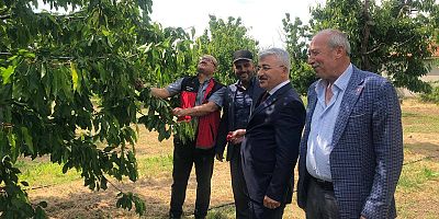 AKŞEHİR KİRAZI İÇİN SAHADA ORTAK MESAİ: ÜRETİCİLERİN SORUNLARI YERİNDE DİNLENDİ