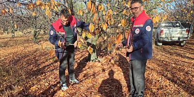 AKŞEHİR KİRAZINDA SAHA İNCELEMELERİ SÜRÜYOR