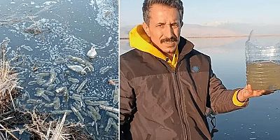 'ATIKLAR EBER GÖLÜ'NDEKİ YAŞAMI YOK ETTİ'