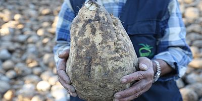 BAŞKAN ERKOYUNCU 2025-2026 KAMPANYA SEZONUNU DEĞERLENDİRDİ