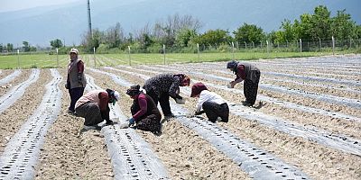 BELEDİYE BAŞKANI KÖKSAL: 