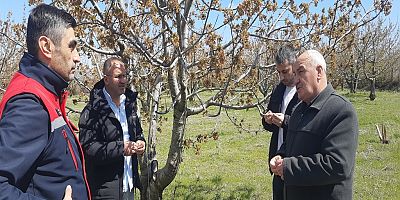 'BU SENE KİMSE BÖLGEDEN KİRAZ BEKLEMESİN'