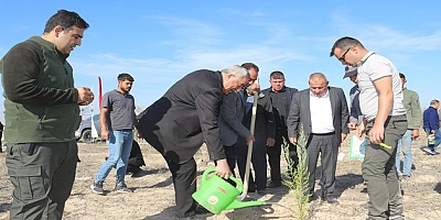 DOĞA İÇİN BİR ARADAYIZ: 11 KASIM’DA TUZLUKÇU’DA FİDAN DİKİMİ GERÇEKLEŞTİ
