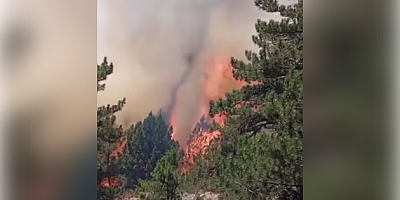 DOĞANHİSAR DAVRAS MAHALLESİ’NDE ORMAN YANGINI PANİĞİ: HAVADAN VE KARADAN MÜDAHALE SÜRÜYOR