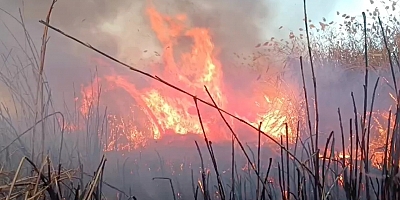 EBER GÖLÜ 16 GÜNDÜR YANIYOR 
