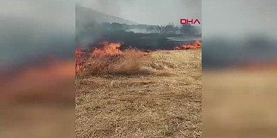 EBER GÖLÜNDE  150 DÖNÜM EKİLİ ALAN YANDI