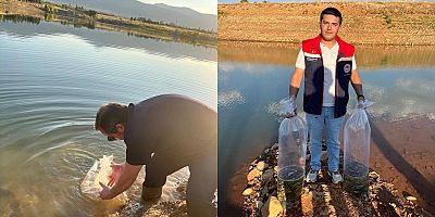 GÖLETLERE YAVRU SAZAN BIRAKILDI: BALIK VARLIĞININ ARTIRILMASI HEDEFLENİYOR