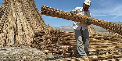 KAMIŞ BALYASI SEKTÖRÜ ORTAKÖY’DE TARİHE KARIŞTI