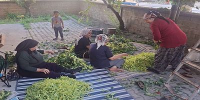 KOMŞULUK RUHU IHLAMUR DALLARINDA YEŞERDİ