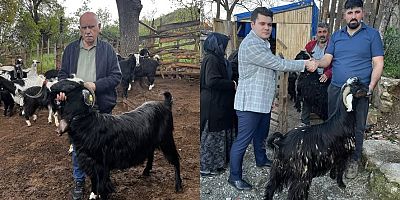 KURBANLIK SATIŞLARI HIZ KAZANDI