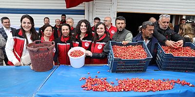 MANİSA’DA ERKENCİ KİRAZ HASADI BAŞLADI: İLK ÜRÜN KİLOSU 6 BİN TL’DEN SATILDI 