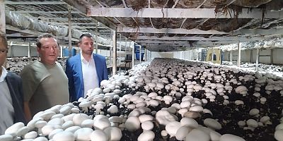 MANTAR ÜRETİM TESİSİNE ZİYARET 