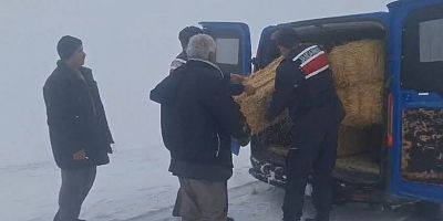MAYIS’TA KAR SÜRPRİZİ: YAYLADA MAHSUR KALAN ÜRETİCİYE SEFERBERLİK