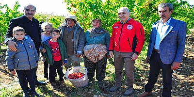 SEZONUN İLK KİRAZI 3 BİN 500 TL'DEN SATILDI 