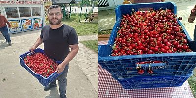 SULTANDAĞI'NDA ERKENCİ KİRAZ HASADI BAŞLADI 