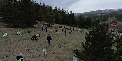 YAREN ARAMA KURTARMA’DAN ORMAN HAFTASINDA ANLAMLI ETKİNLİK