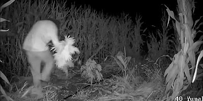 YUNAK KAYMAKAMLIĞI’NDAN UYUŞTURUCU İLE MÜCADELEDE KARARLI UYGULAMA